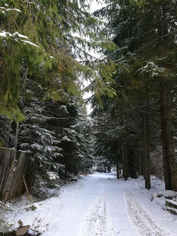 Antal Apartmans Lunca De Sus Kulcsoshaz Gyimesfelsolok Exterior foto